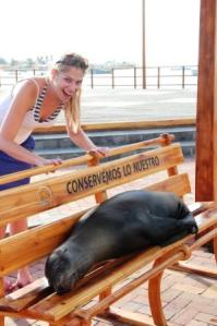 Frau Schlaumeier entdeckt auf den Galapagos-Inseln einen Seehund, der es sich auf einer Bank gemütlich gemacht hat.